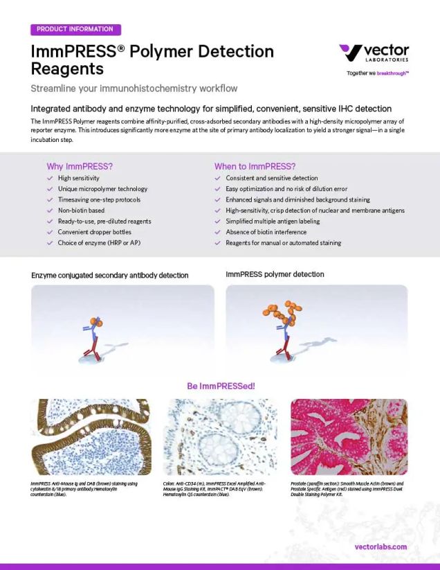 ImmPRESS® Polymer Detection Brochure