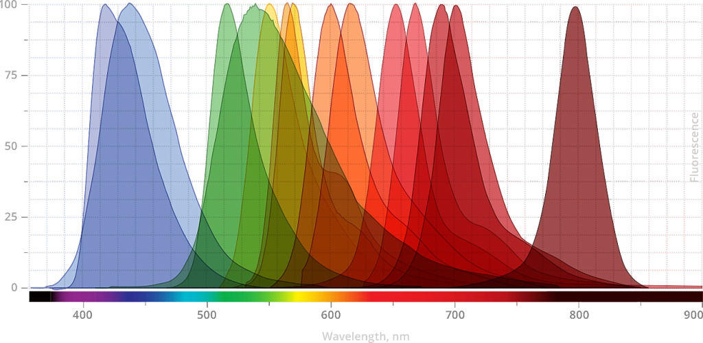 Spectral range and brightness comparison chart for AZDye and AQuora fluorophores.