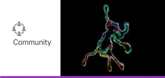 Celebrating the art of scientific discovery