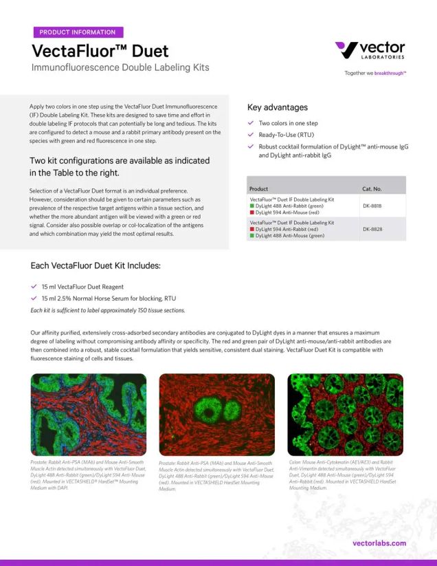 VectaFluor™ RTU Reagents and Kits