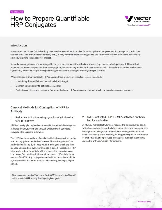 How to Prepare Quantifiable HRP Conjugates