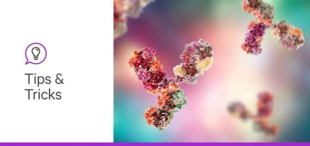 Considerations When Selecting a Primary Antibody