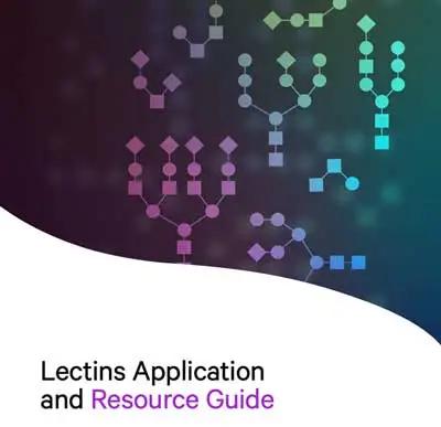 Lectins Brochures Home Page