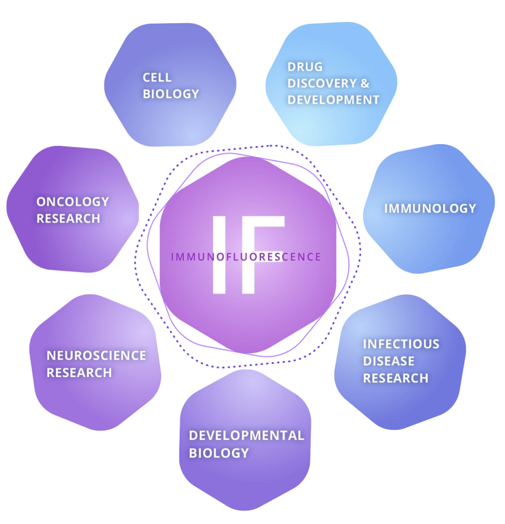 immunofluorescence resource areas