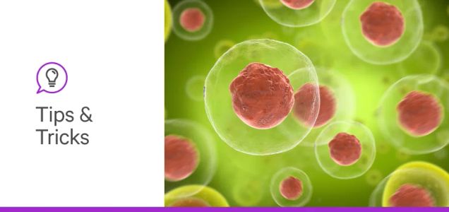 Glycans and T-cells