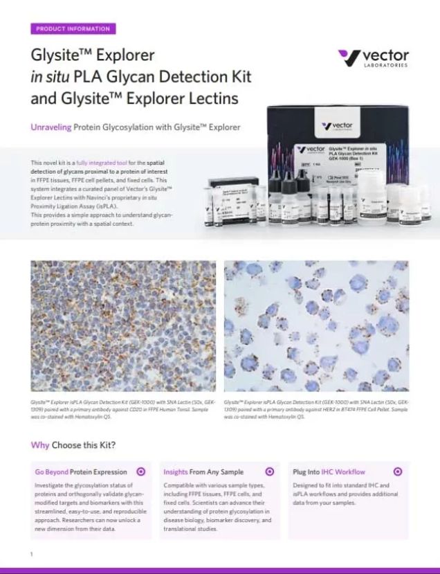 Glysite™ Explorer in situ PLA Glycan Detection Kit and Glysite™ Explorer Lectins