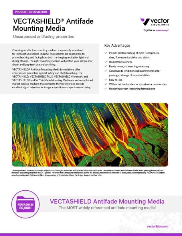 VECTASHIELD® Antifade Mounting Media