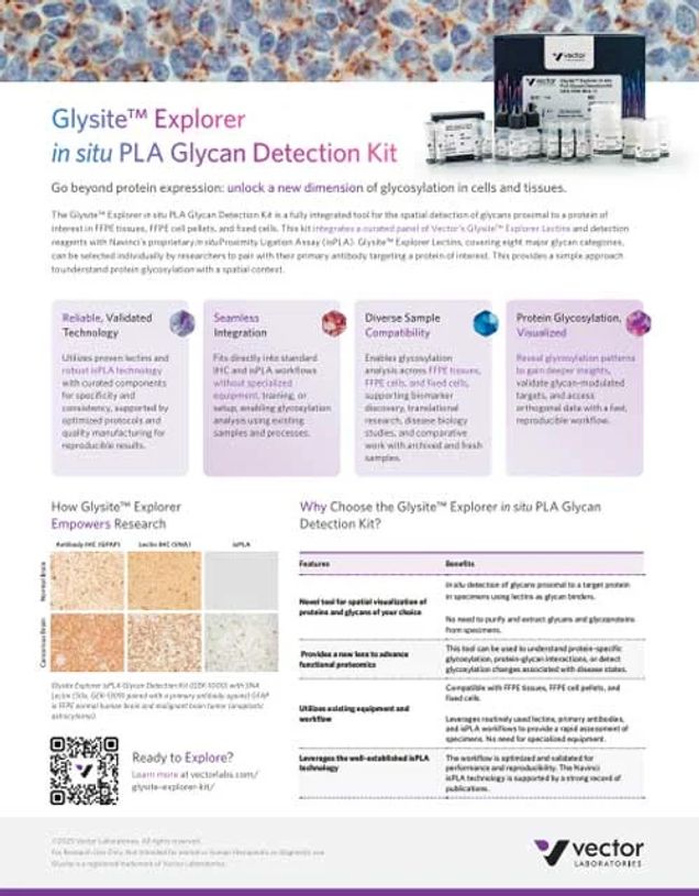 Flyer | Glysite™ Explorer in situ PLA Glycan Detection Kit