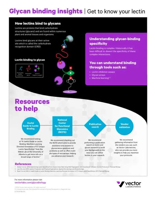 Glycan Binding Infographic