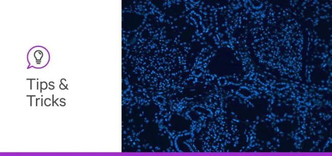 October 19 banner 1