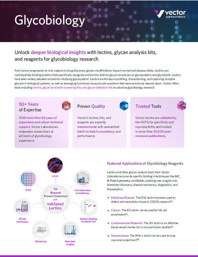 Glycobiology Overview Flyer
