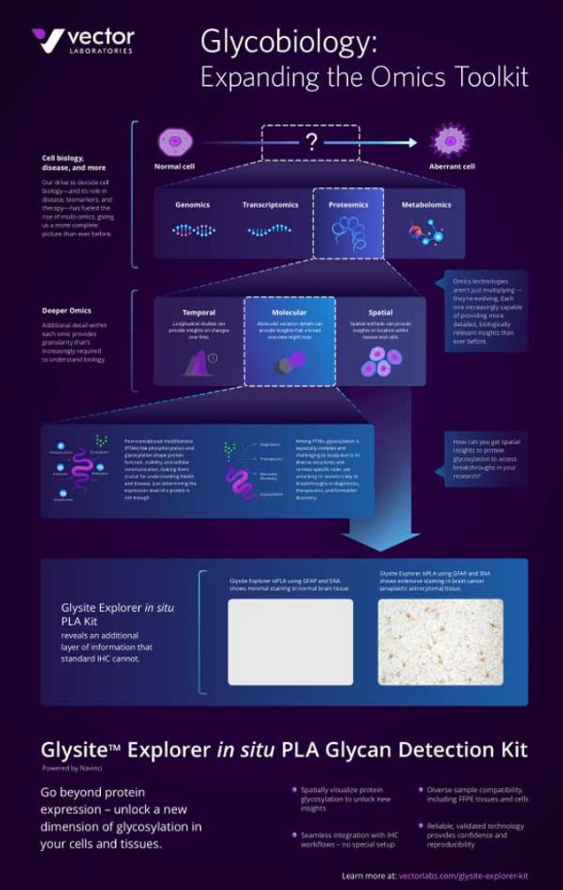 Infographic | Glycobiology: Expanding the Omics Toolkit
