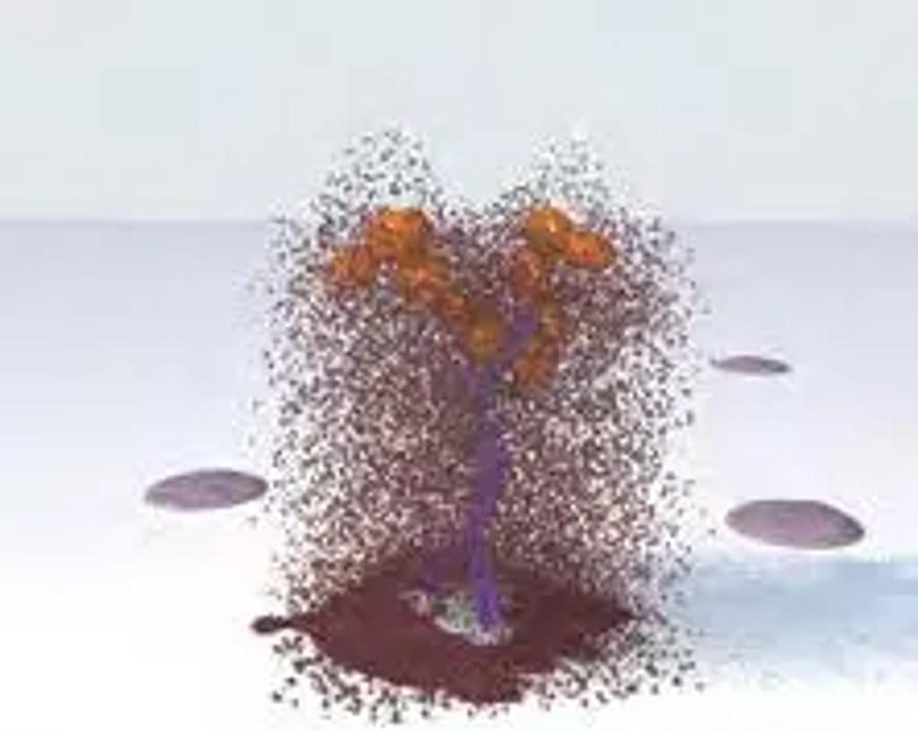 Immpress polymer kits add enzyme substrate
