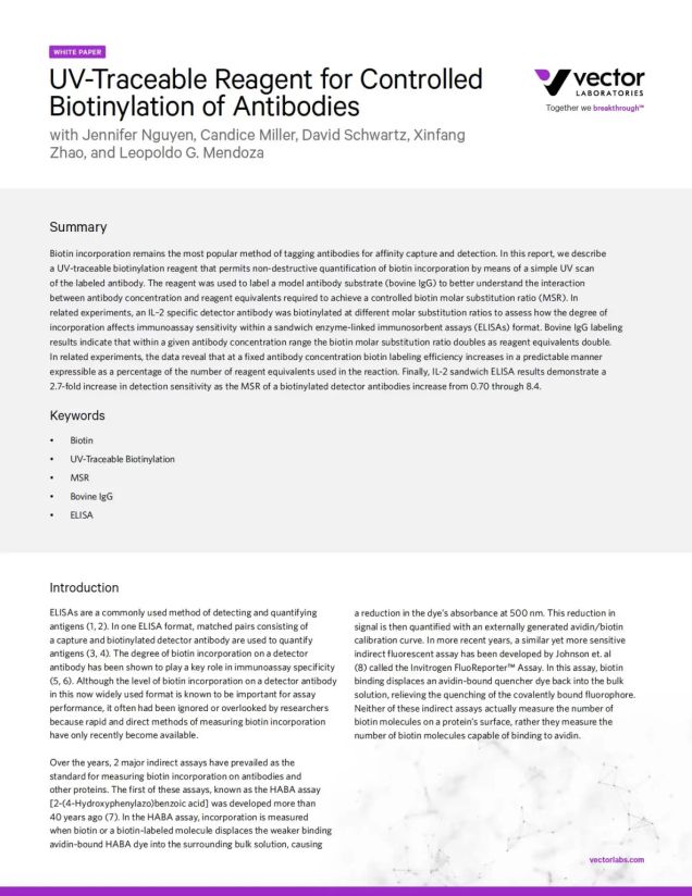 UV-Traceable Reagent for Controlled Biotinylation of Antibodies