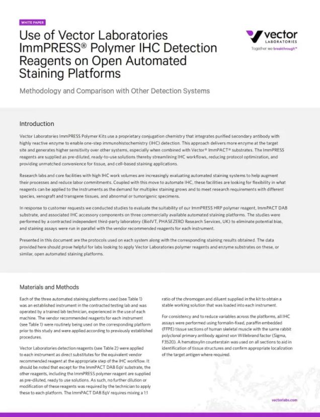 Automated IHC Protocols using ImmPRESS Polymer Reagents