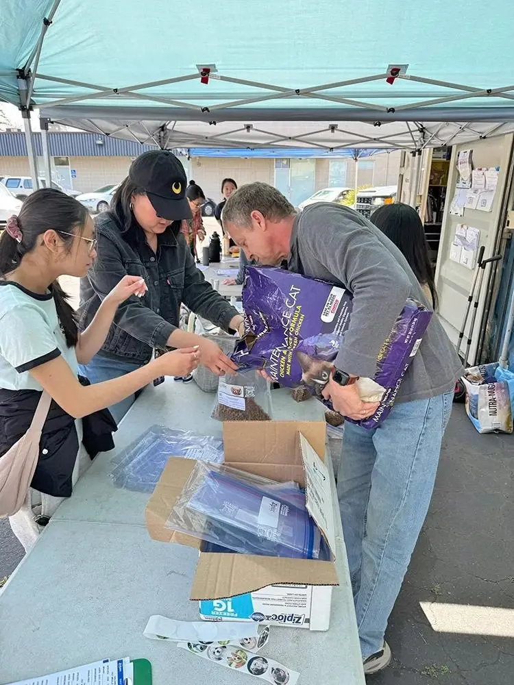 volunteering