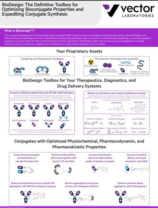 BioDesign: The Definitive Toolbox for Optimizing Bioconjugate Properties and Expediting Conjugate Synthesis
