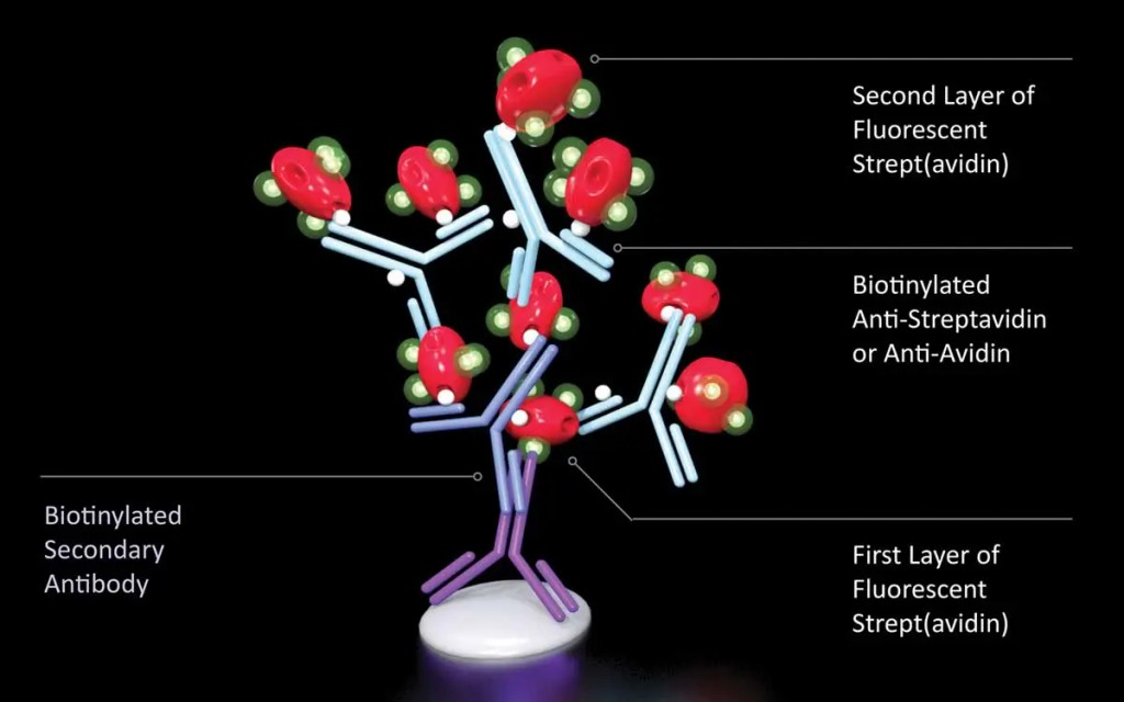 IFPage19schematic 2 1