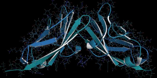 Advancing Colorectal Cancer Research with Biomarker-Driven Tools
