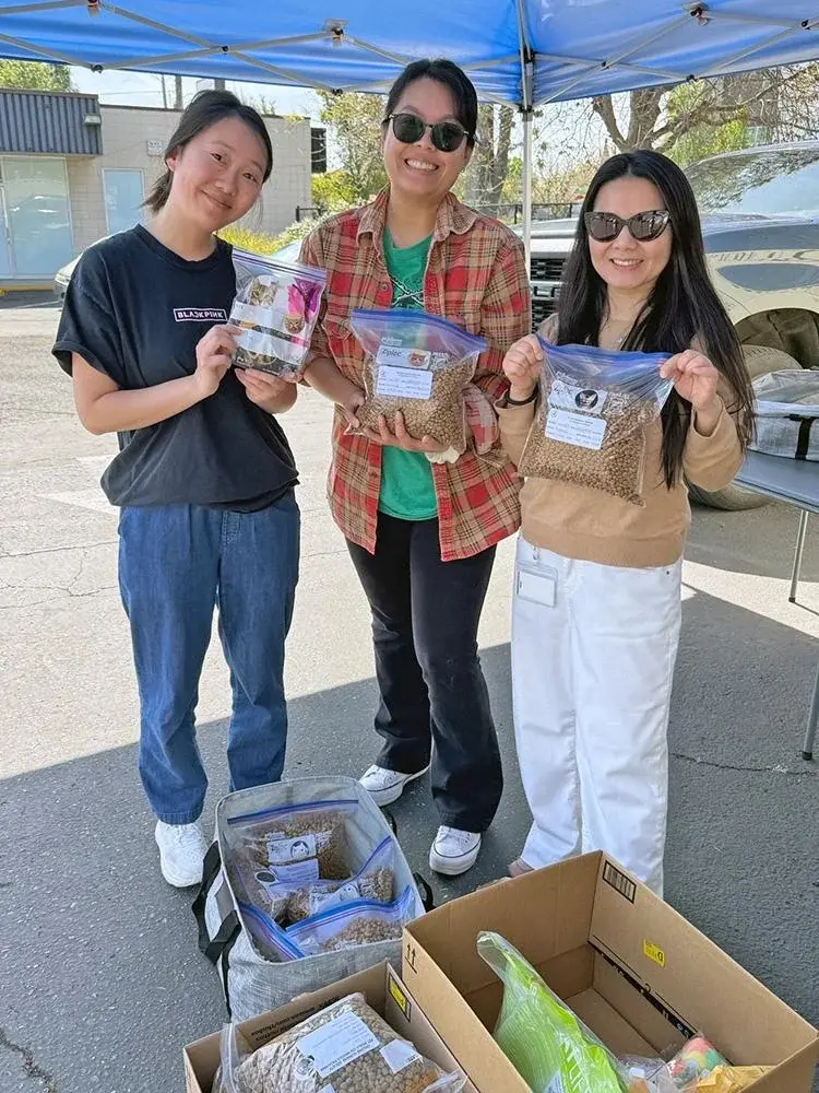 volunteering