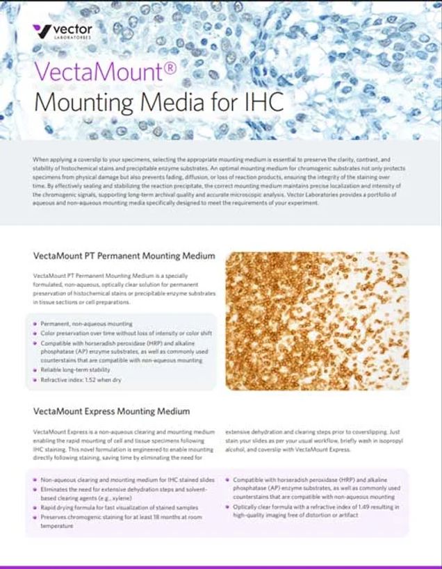 VectaMount Mounting Media for IHC