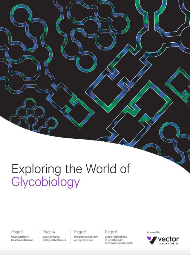 Exploring the World of Glycobiology eBook