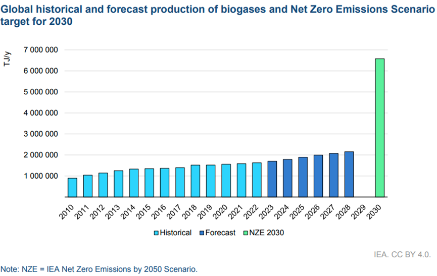 Iea report highlights differing regional approaches to biomethane 2 0d11a7db75bd5ae95daa16ecc774b4d3416dbaf2