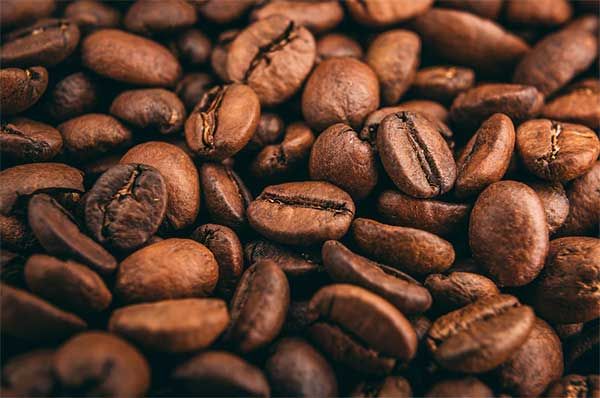 Coffee Beans (Raw & Roasted)