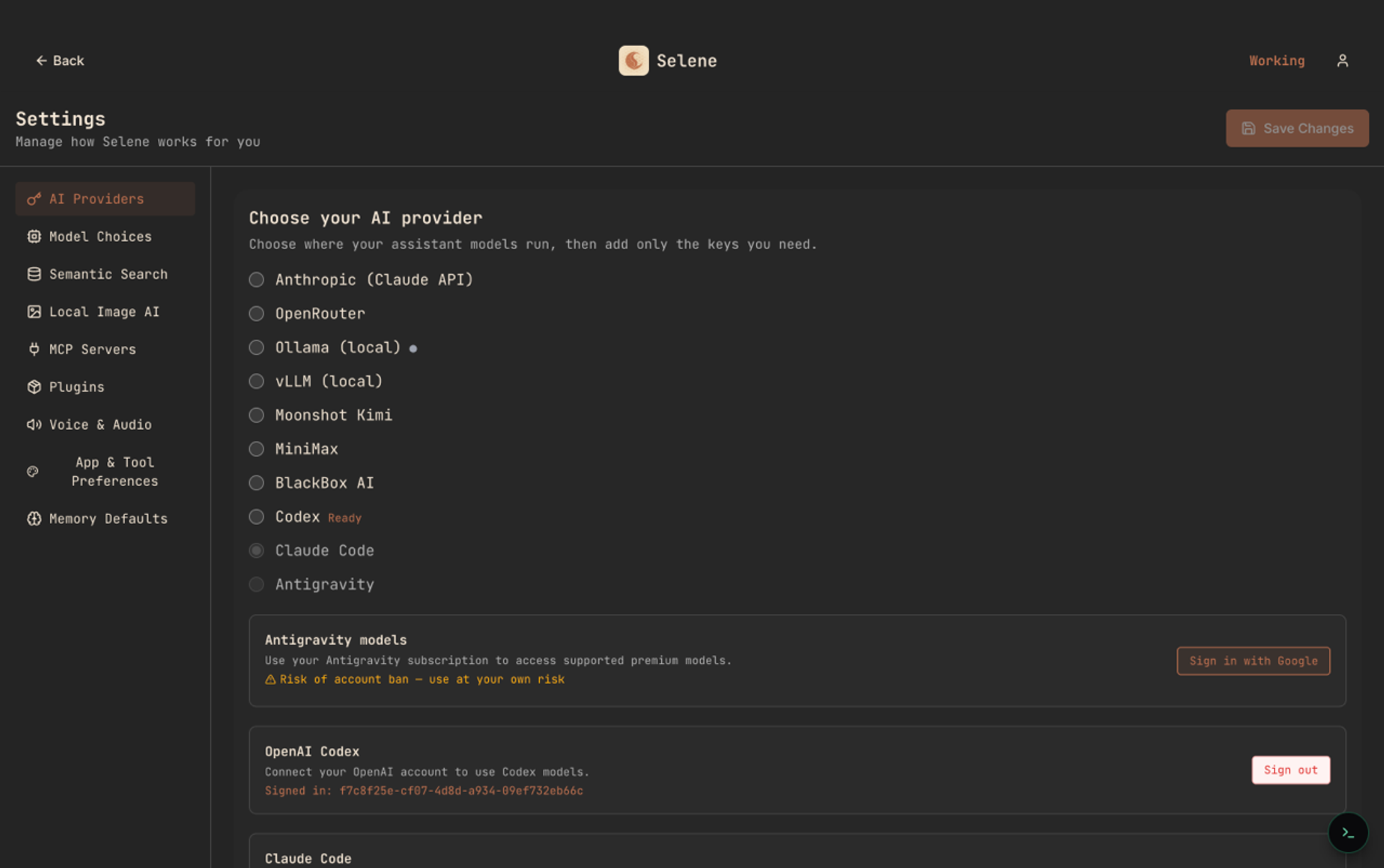 Selene AI Providers settings showing Anthropic, OpenRouter, Ollama, vLLM, Moonshot, MiniMax, BlackBox, Codex, Claude Code, Antigravity