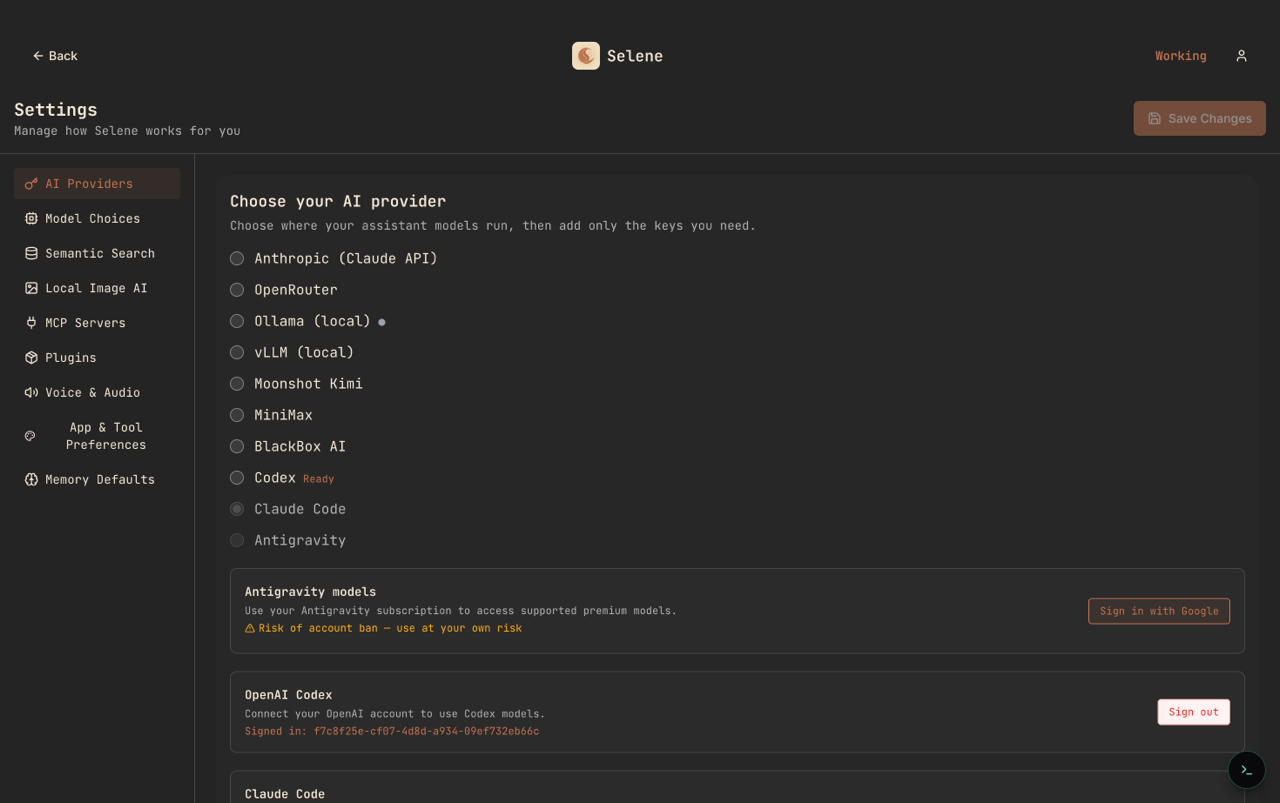 Selene AI Providers settings showing Anthropic, OpenRouter, Ollama, vLLM, Moonshot, MiniMax, BlackBox, Codex, Claude Code, Antigravity