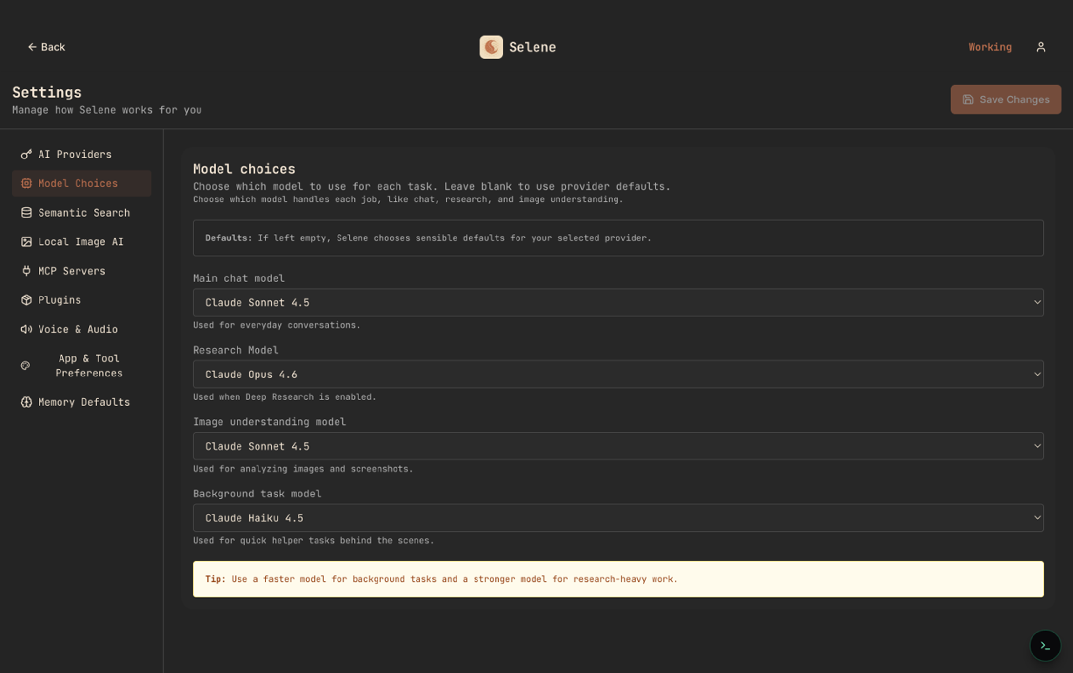 Selene Model Choices settings showing separate model assignments for main chat, research, image understanding, and background tasks