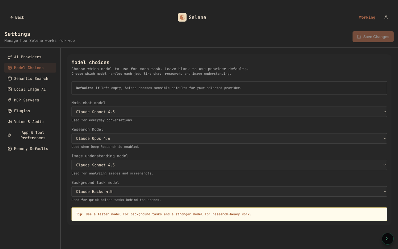 Selene Model Choices settings showing separate model assignments for main chat, research, image understanding, and background tasks