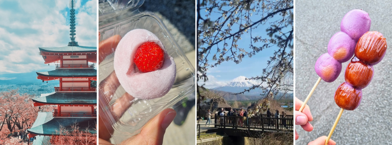 Mt. Fuji
