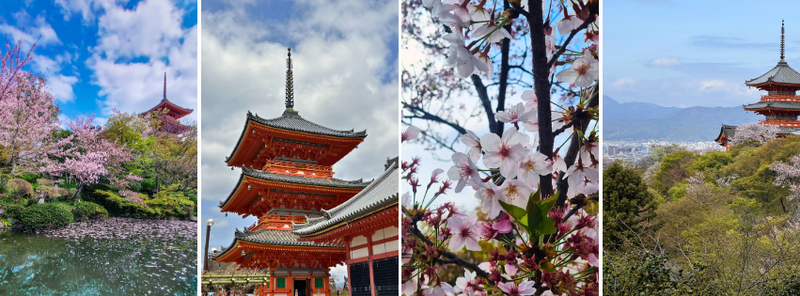 Kiyomizu-dera
