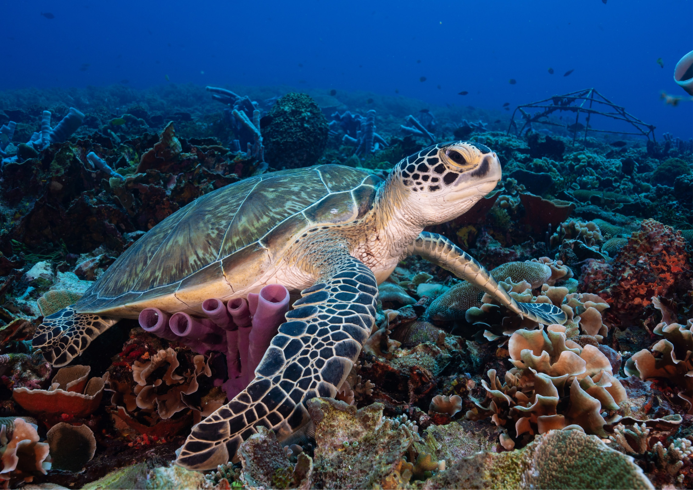 Odkrij Bali – vse za popolno tropsko izkušnjo