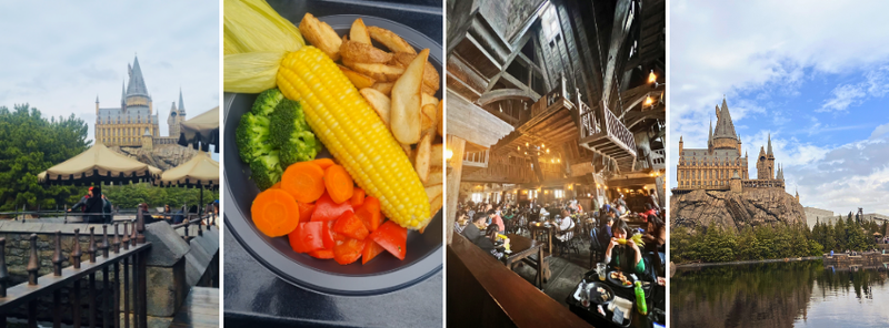 Universal Studios Japan - Wizarding World of Harry Potter