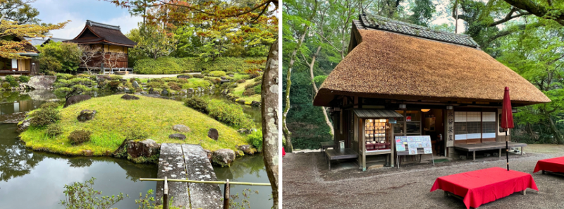 Japonska - Nara - park