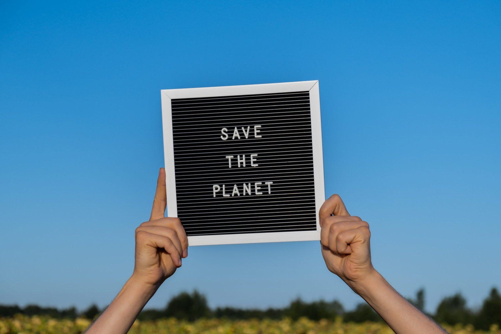 How Sustainability Messaging Boosts Brand Loyalty