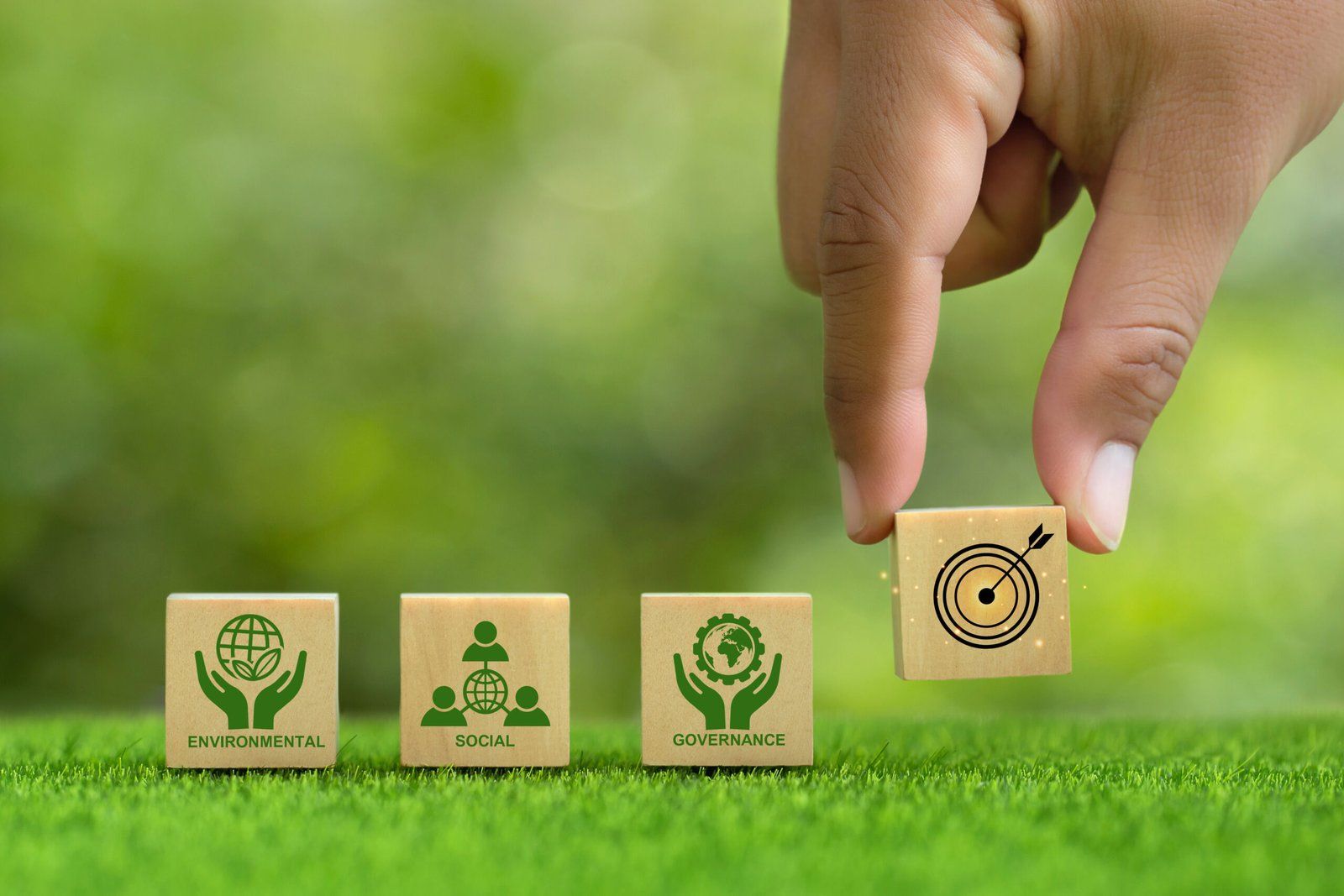 What Ensures Brand Loyalty Through Sustainability Communication?