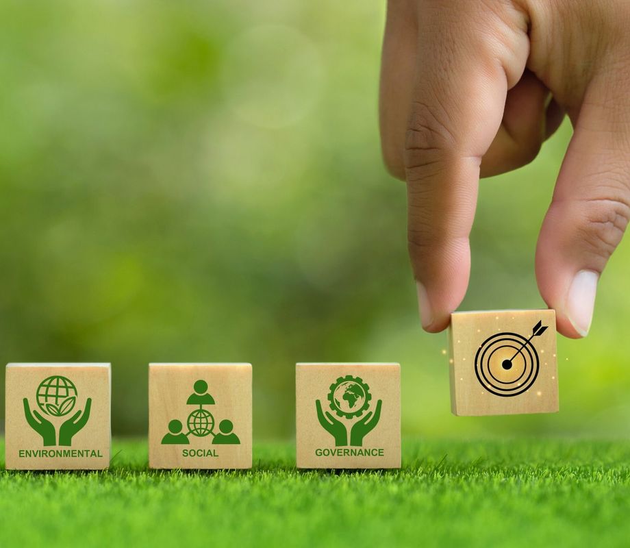 What Ensures Brand Loyalty Through Sustainability Communication?
