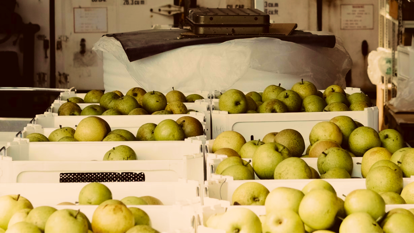 An image of fresh produce