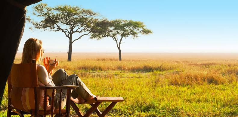 Best Safari Honeymoon Africa Destinations (2026)