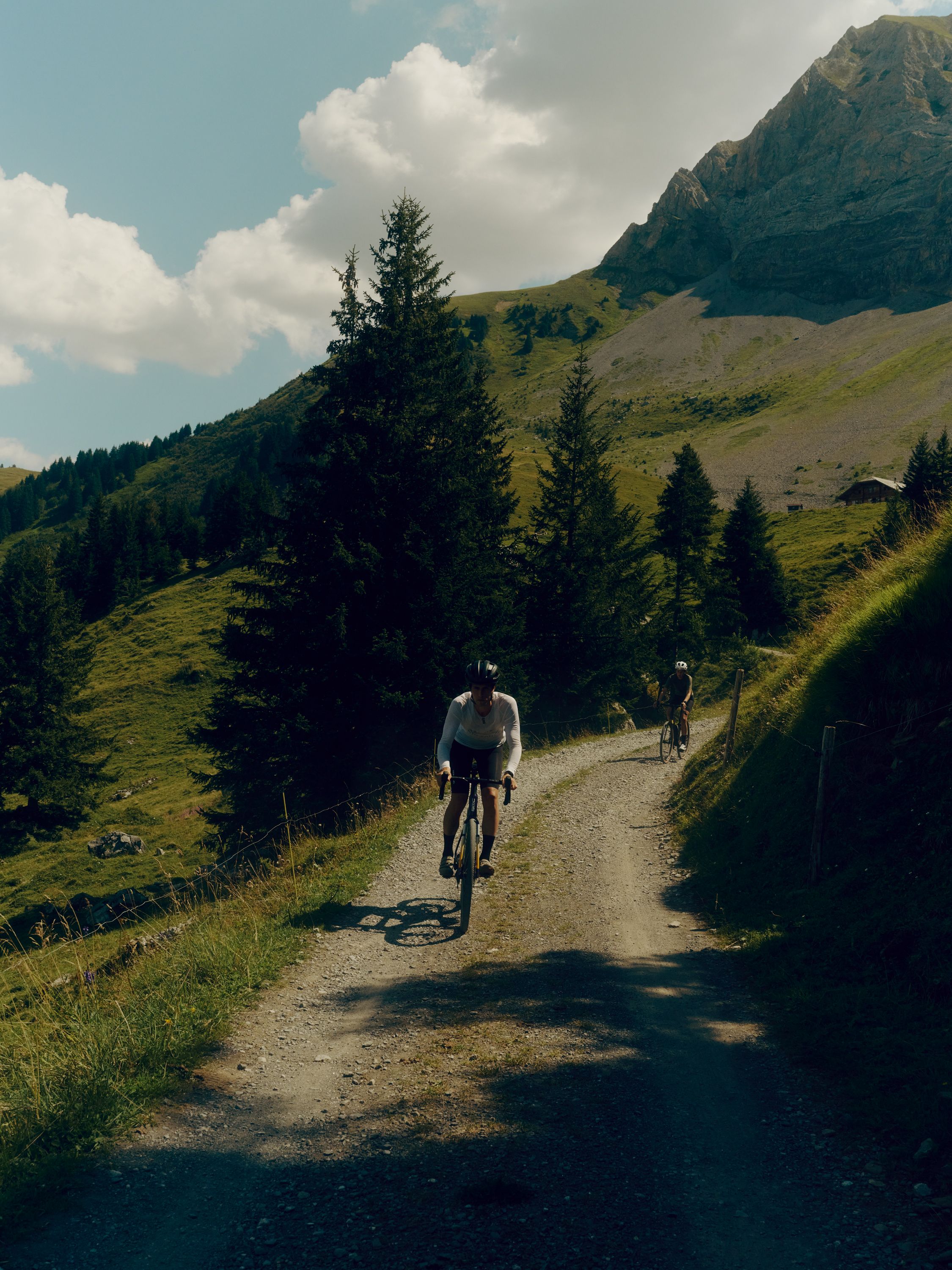 The Cambrian — 4.2