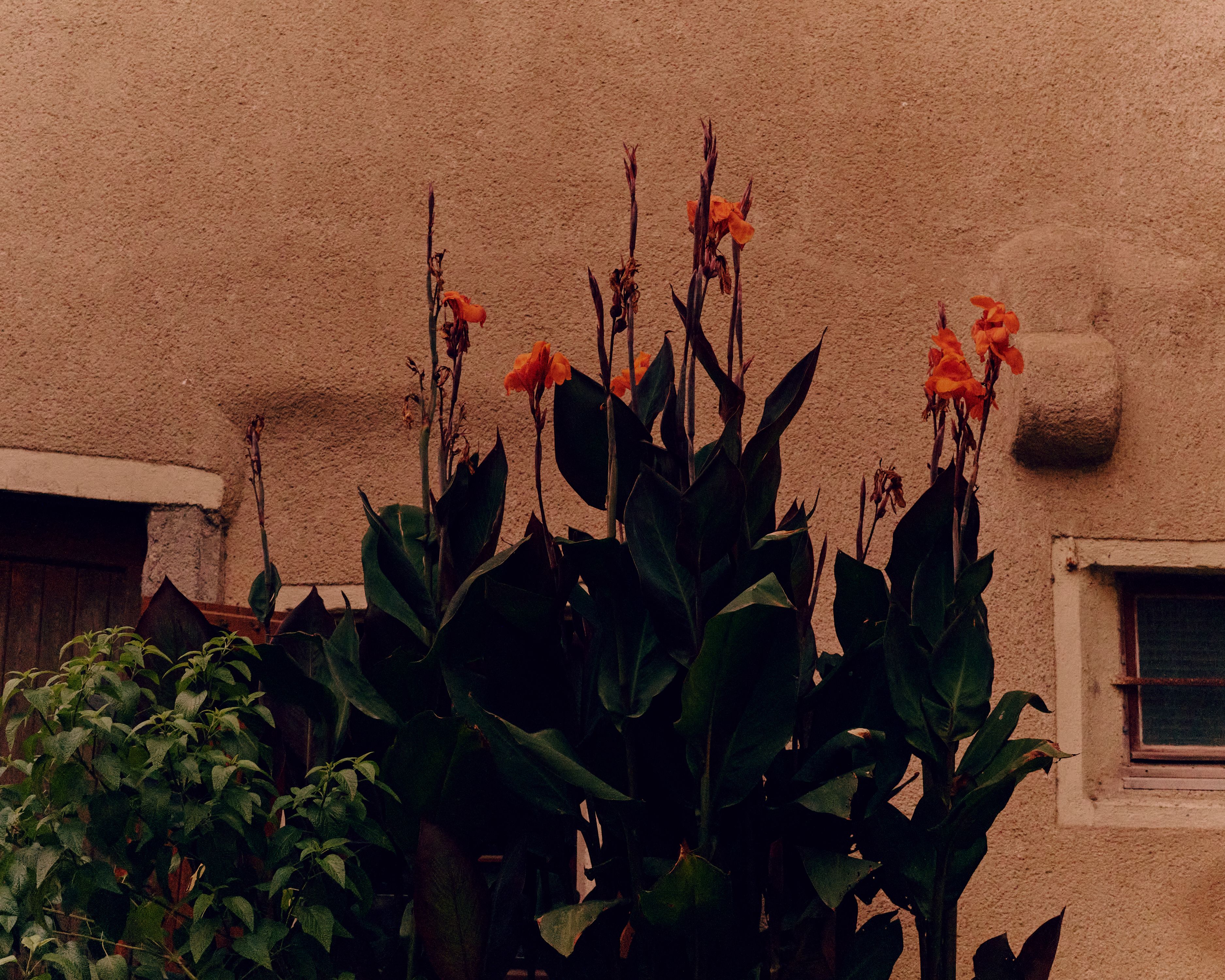 Journal — 3.1