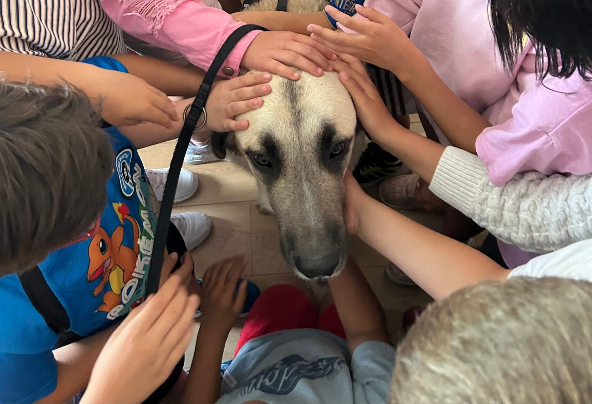 Charla da Asociación Protectora de Animales Occidente Astur