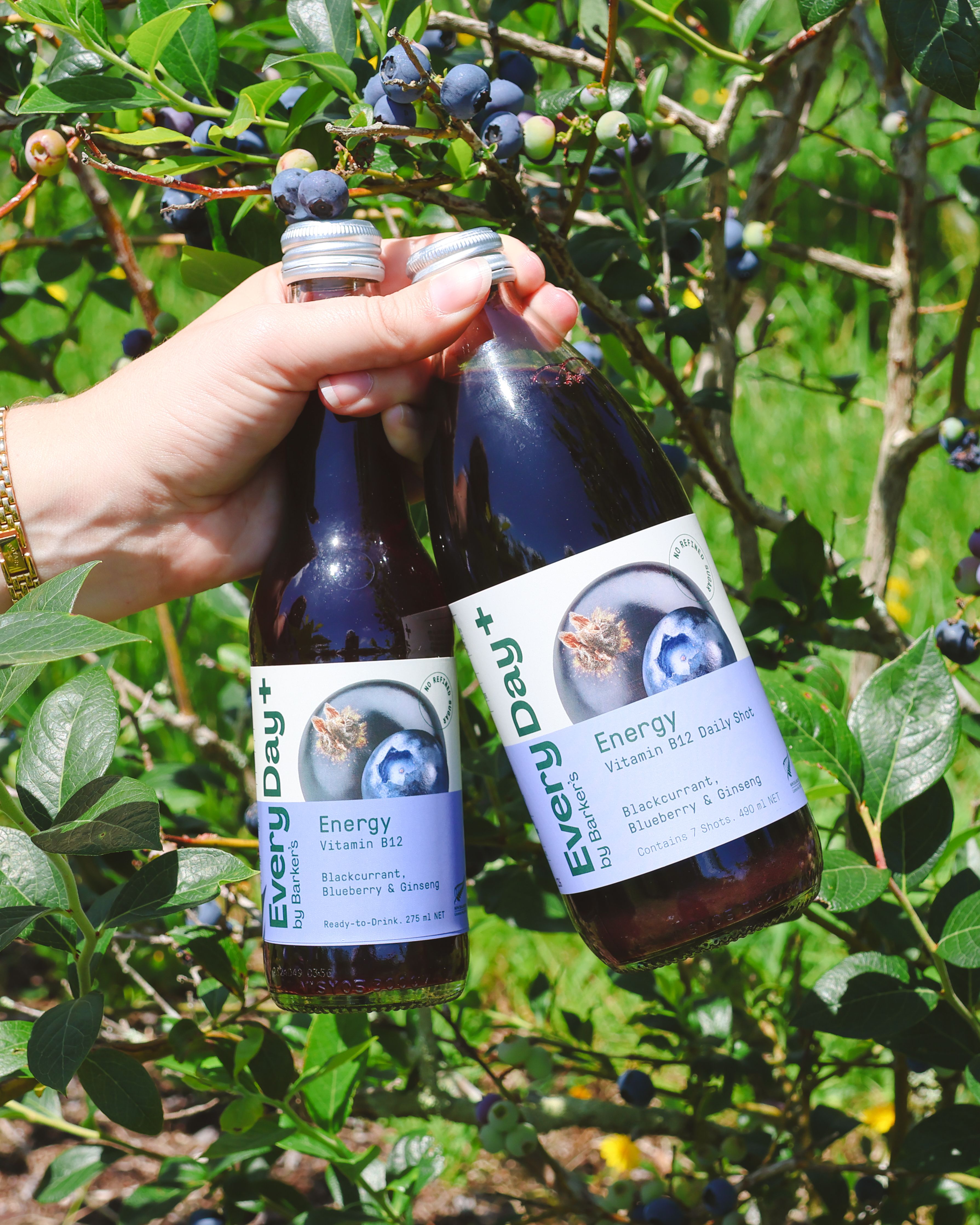 Barker's of Geraldine