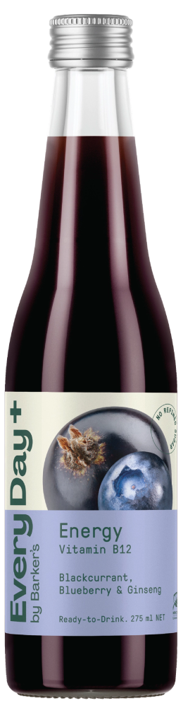 Blackcurrant, Blueberry & Ginseng Energy RTD (8 pack)