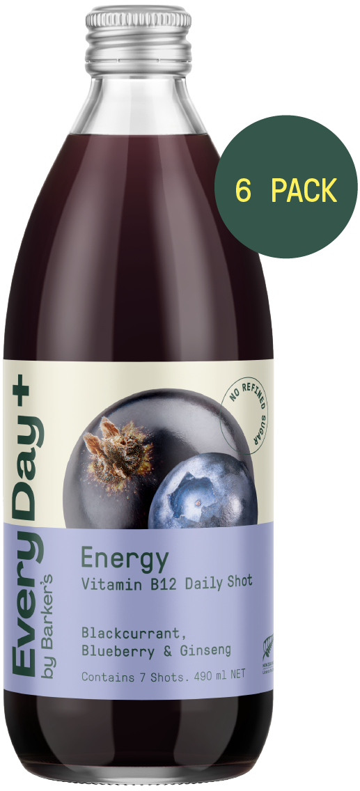 Blackcurrant, Blueberry & Ginseng Energy Daily Shot Multipack