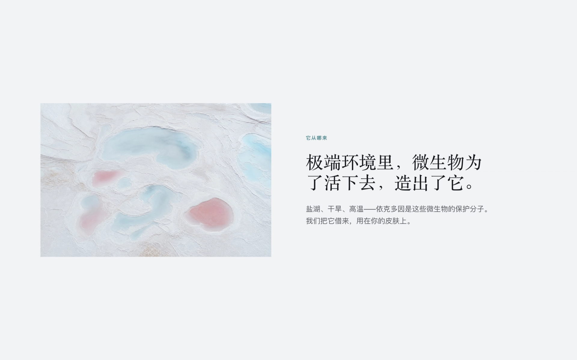 HALO 详情页 2