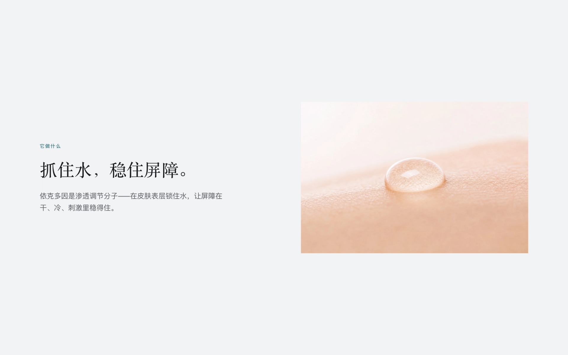 HALO 详情页 3